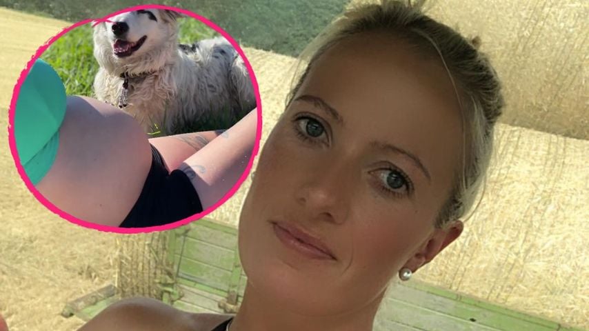 So groß ist "Bauer sucht Frau"-Denise' Babybauch schon!