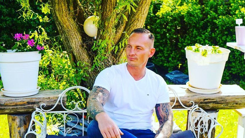 Denny löschte sich selbst aus "Big Brother"-WhatsApp-Gruppe