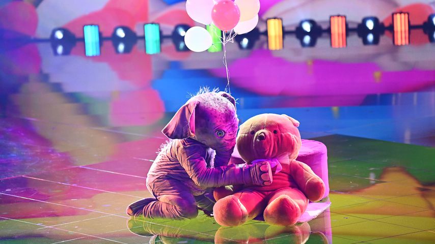 Der Babyelefant von "Masked Singer Austria"