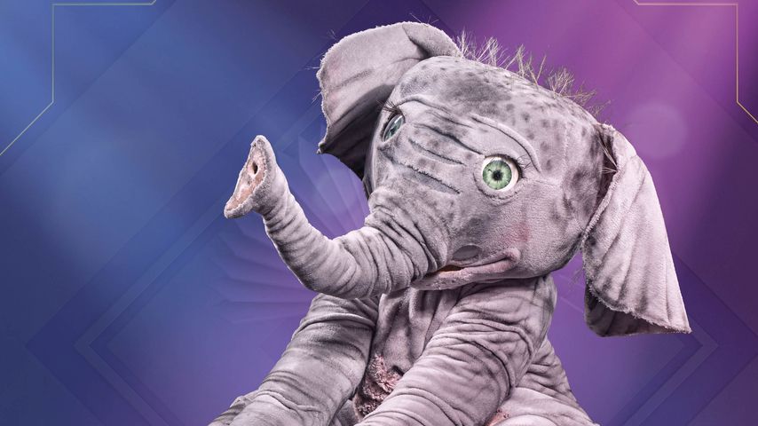 Babyelefant von "The Masked Singer Austria"