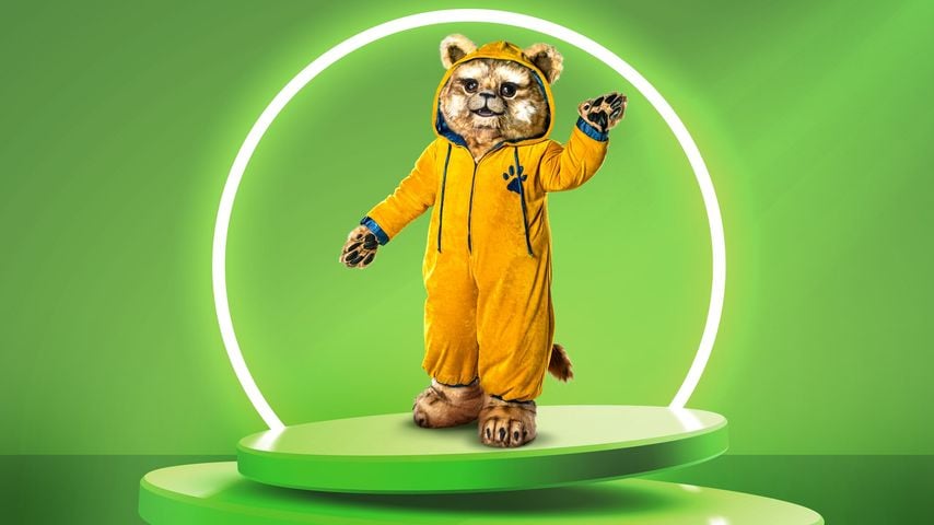 Der Babylöwe von "The Masked Singer" 2024