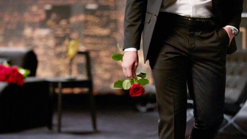 "Der Bachelor"