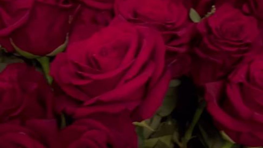 Der Blumenstrauß von Oliver Pocher an Sandy Meyer-Wölden, 2024