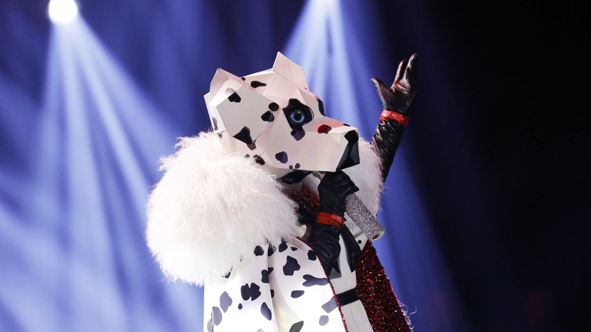 Der Dalmatiner bei "The Masked Singer"