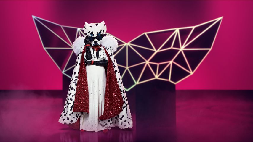 Der Dalmatiner bei "The Masked Singer"