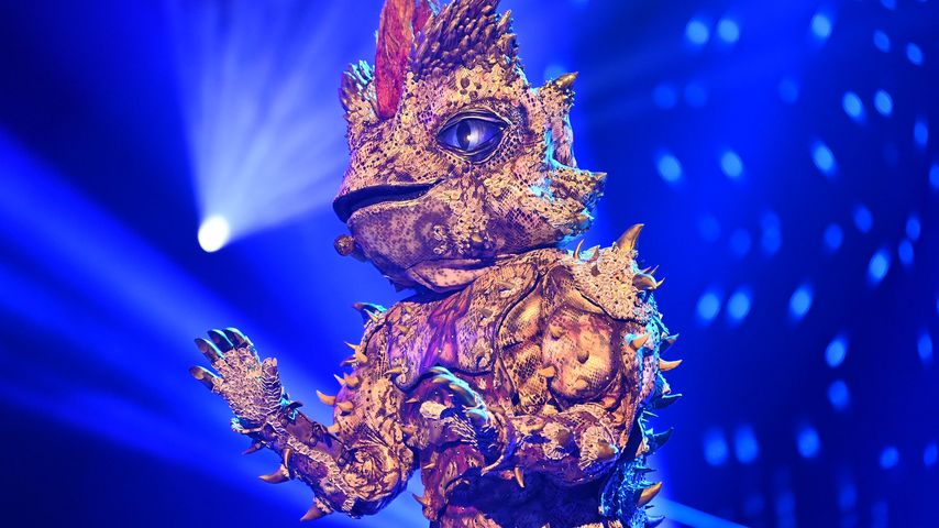 Zum Finale: Alle Indizien zum "The Masked Singer"-Dornteufel