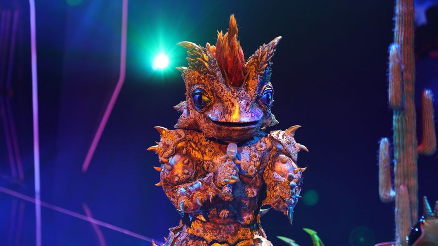 Der Dornteufel bei "The Masked Singer"