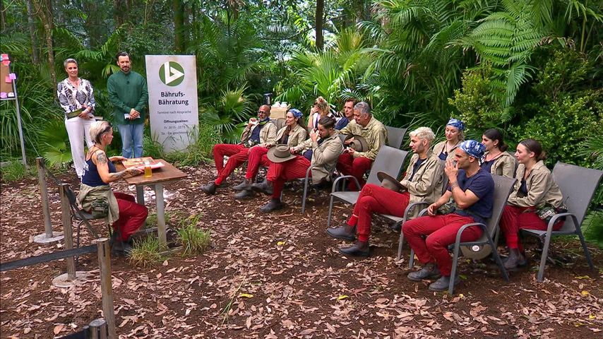 Fehlt den neuen Dschungelcampern etwa der nötige Kampfgeist?