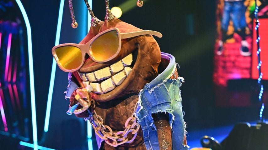 Fans munkeln: Er könnte der "The Masked Singer"-Dude sein