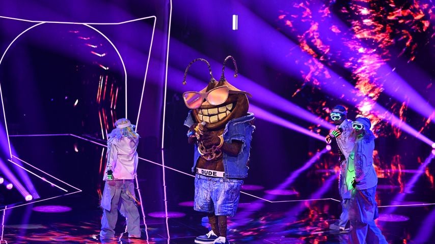 Enthüllt: Dieser "The Masked Singer"-Star steckt hinter Dude