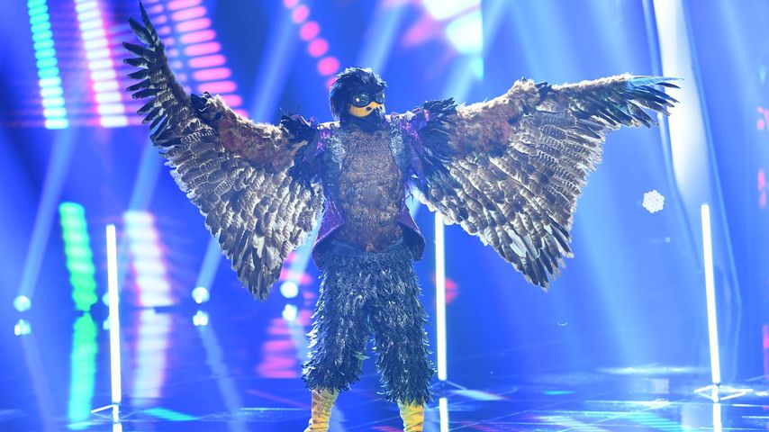Der Falke von "The Masked Singer" Austria