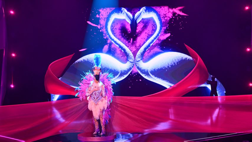 Der Flamingo bei "The Masked Singer"