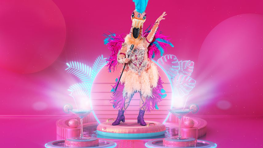 Der Flamingo von "The Masked Singer" 2021