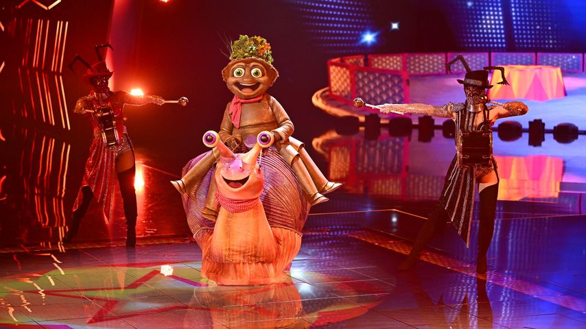 Der Floh bei "The Masked Singer"