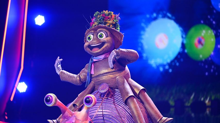 Indizien passen: Steckt sie unter dem "Masked Singer"-Floh?