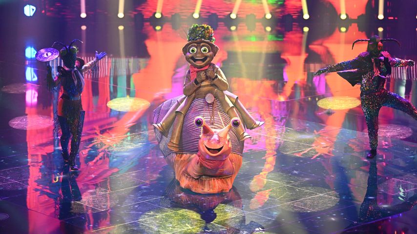 Der Floh bei "The Masked Singer"