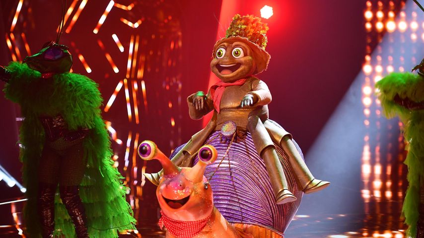 Der Floh bei "The Masked Singer"
