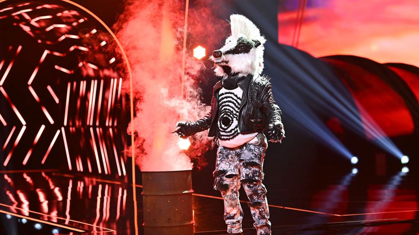 "Masked Singer Austria": Dieser ESC-Star ist der Frechdachs