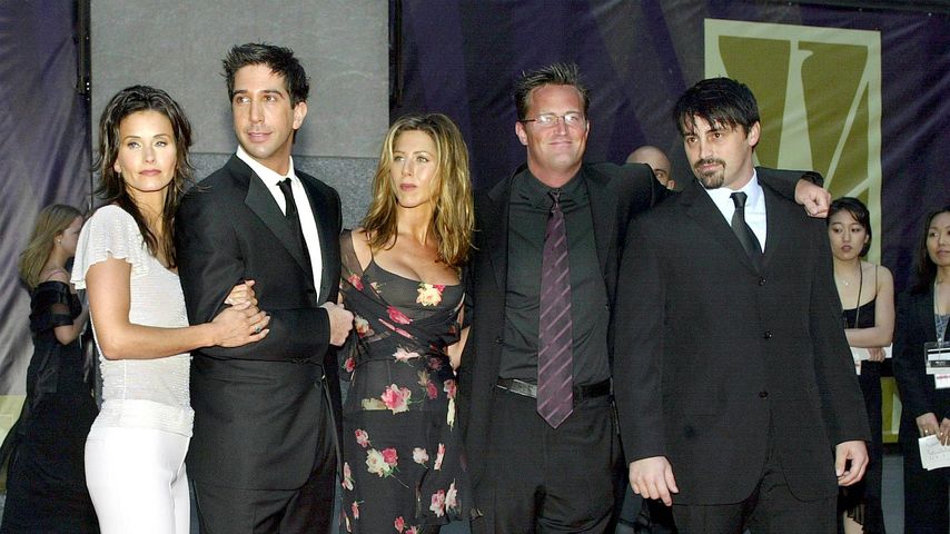 Der "Friends"-Cast 2002
