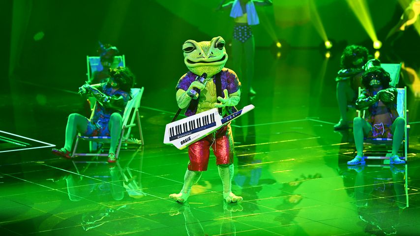 Der Frosch alias Wigald Boning bei "The Masked Singer"