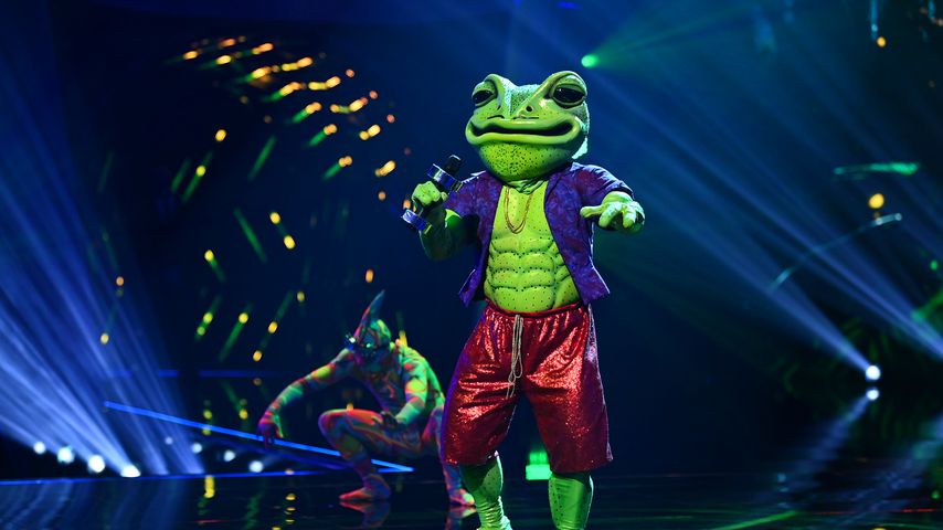 Alle bisherigen Indizien zum "The Masked Singer"-Frosch!