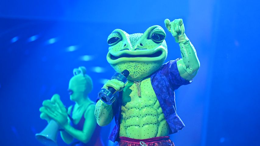 Der Frosch bei "The Masked Singer"