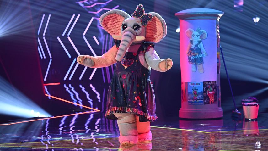 Der Frotteefant bei "The Masked Singer"