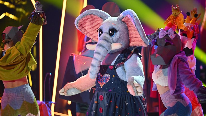 Der Frotteefant bei "The Masked Singer"