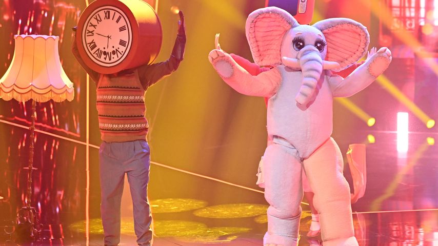 Der Frotteefant bei "The Masked Singer"