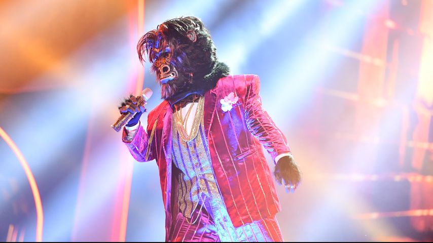 Der Gorilla bei "The Masked Singer" während seinem Auftritt