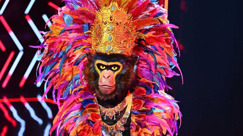 Fans sind sicher: Er ist der "The Masked Singer"-Gorilla
