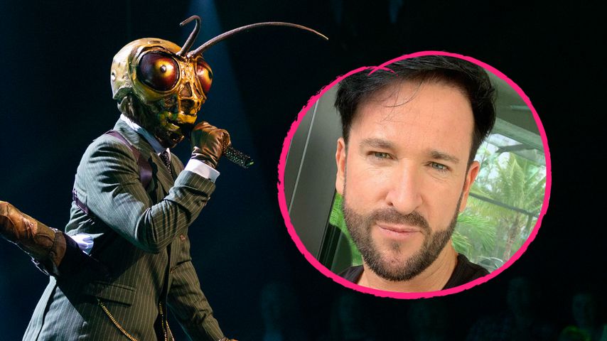 Michael Wendler als Grashüpfer? Der Sender würde weinen!
