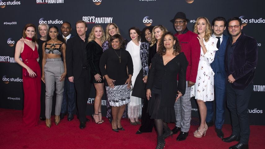 Der "Grey's Anatomy"-Cast