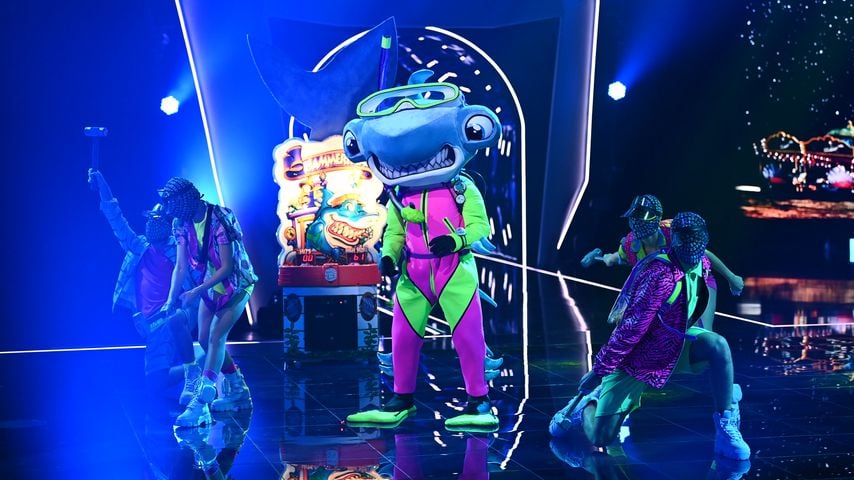 Der Hammerhai bei "The Masked Singer"