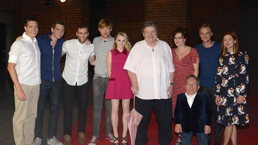 "Harry Potter"-Cast, 2014