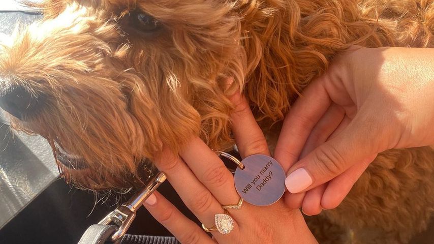 Der Hund von Virginia Gardner
