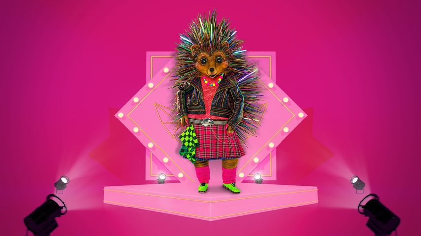 Punk-Igel: Das nächste "The Masked Singer"-Kostüm ist raus!
