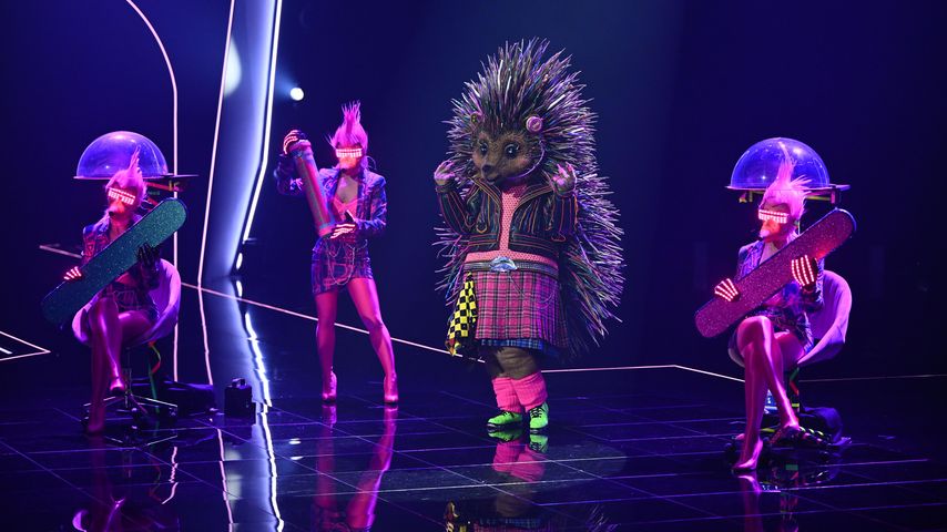 Der Igel, "The Masked Singer"-Kostüm
