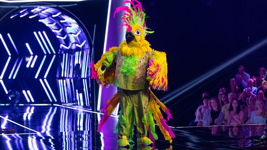 Der Kakadu von "The Masked Singer" 2019