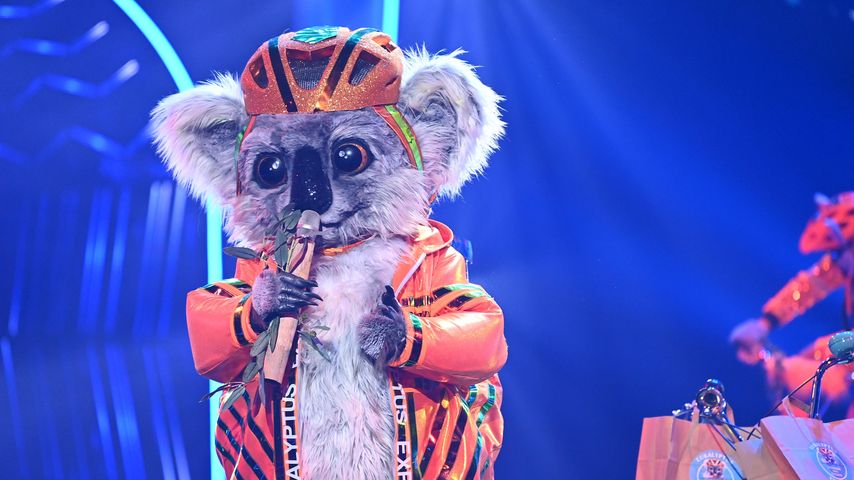 Der Koala bei "The Masked Singer"