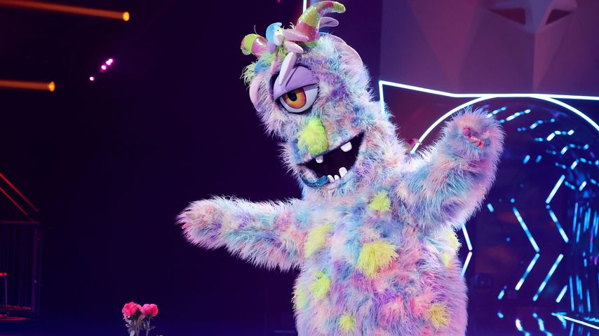 Das sind die finalen "The Masked Singer"-Tipps der Fans!
