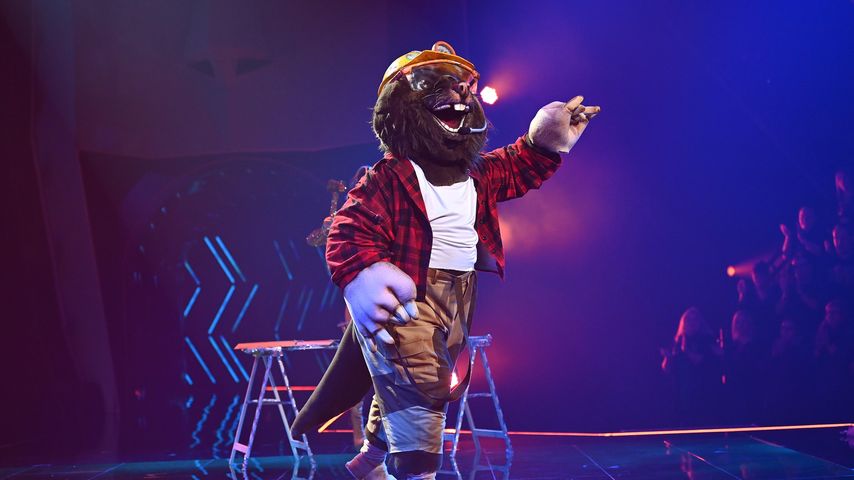 Der Maulwurf bei "The Masked Singer"