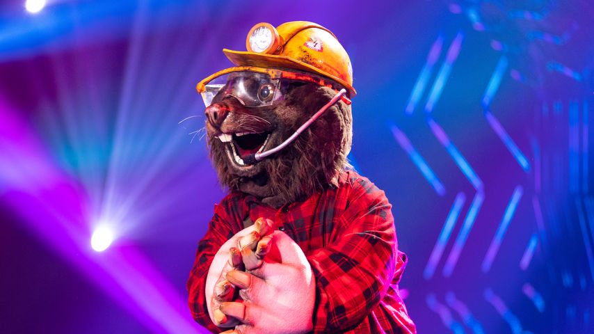Der Maulwurf bei "The Masked Singer"