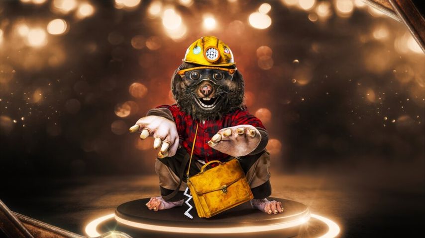 Der Maulwurf, "The Masked Singer"-Kostüm 2022
