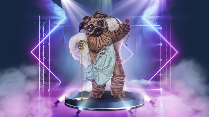 Der Mops aus "The Masked Singer"-Staffel fünf
