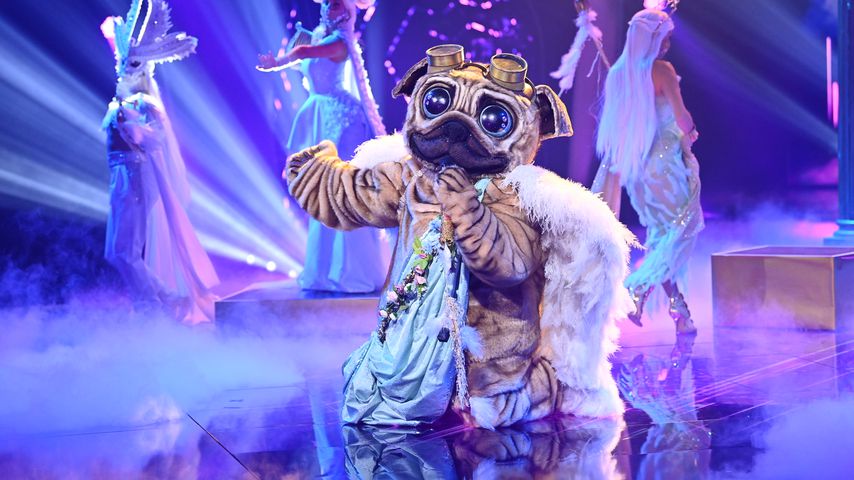 Der Mops im "The Masked Singer"-Finale 2021