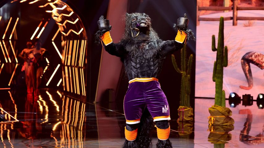 Der Mustang bei "The Masked Singer" 2023