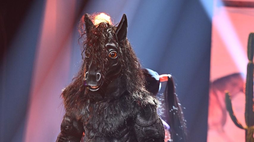 Der Mustang bei "The Masked Singer" 2023