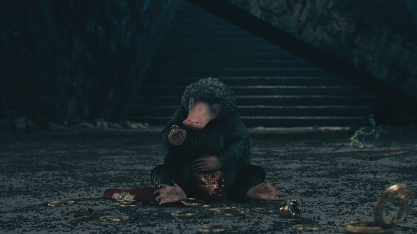 Szene aus "Phantastische Tierwesen 3: Dumbledores Geheimnisse"