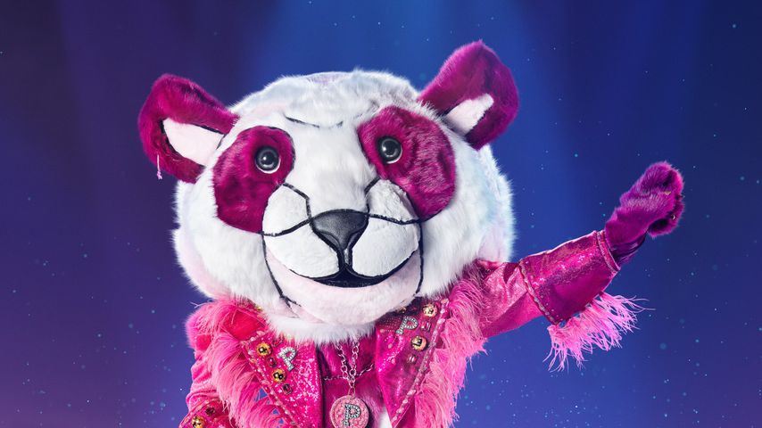 Der Panda bei "The Masked Singer Switzerland"